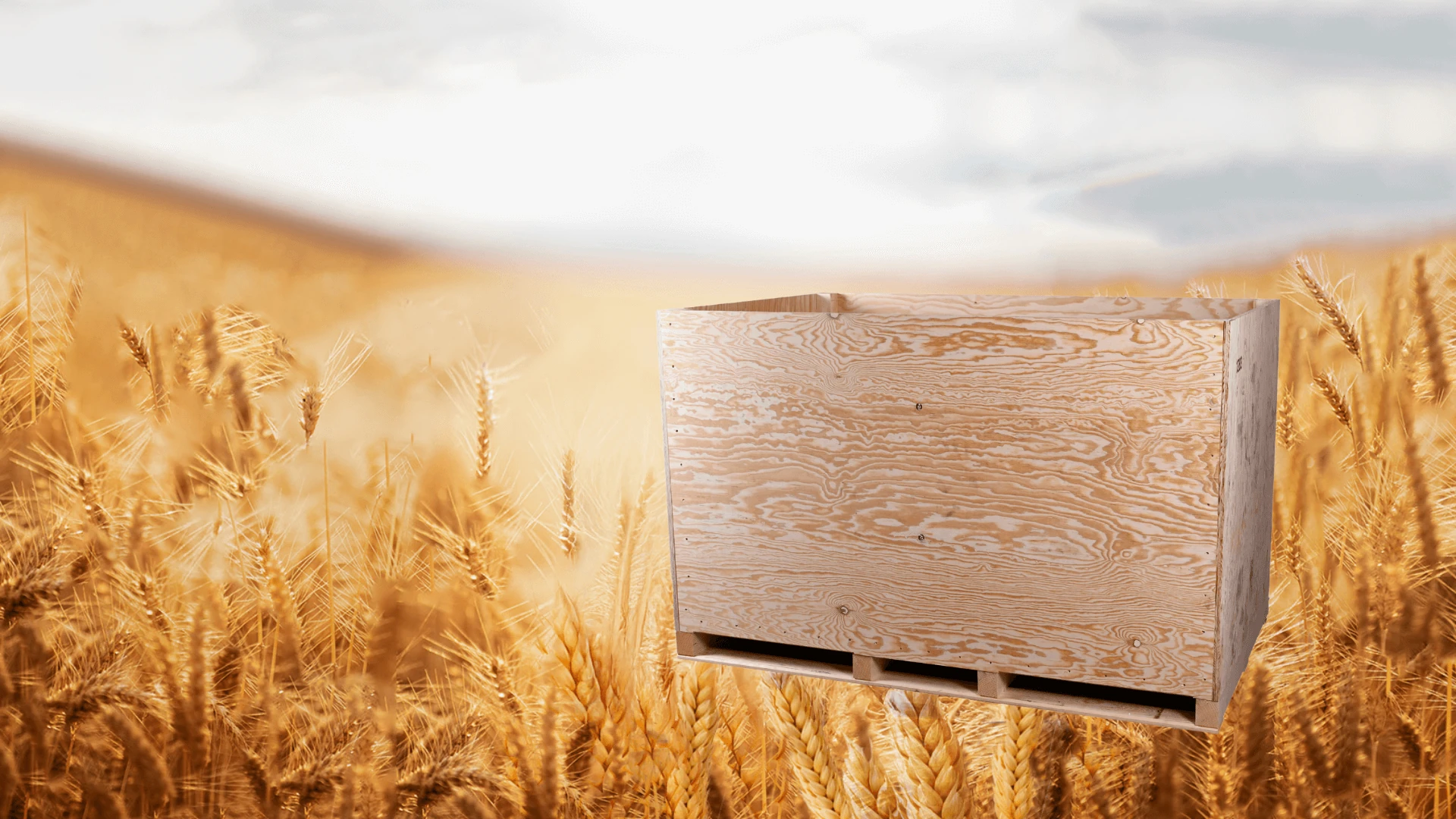 Seed & Agricultural Container